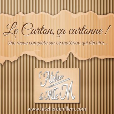 [Revue] Le Carton, ça cartonne !